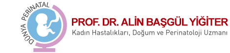 Prof. Dr. Alin Başgül Yiğiter - Riskli Gebelik, Detaylı Ultrason, Kadın Hastalıkları, Doğum ve Perinatoloji Uzmanı